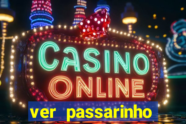 ver passarinho morto significado espiritual